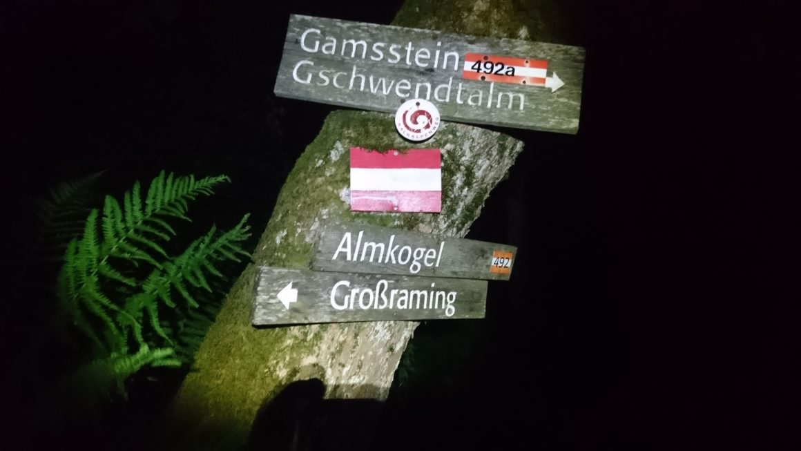DSC_1576 Ennser Hütte über’n Danzersteig – Gamsstein – Gschwendtalm