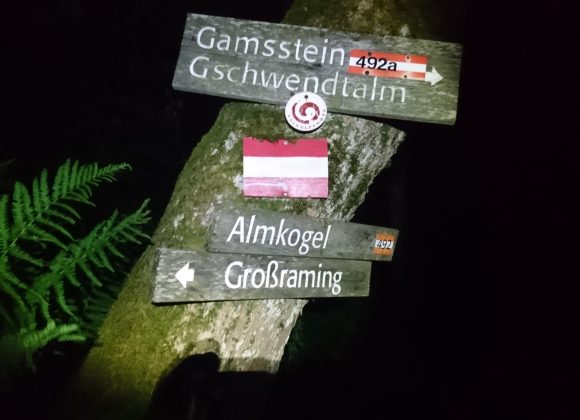 Ennser Hütte über’n Danzersteig – Gamsstein – Gschwendtalm