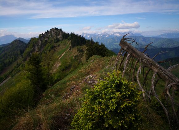 Gratwanderweg Dürrensteigkamm zur Anlaufalm