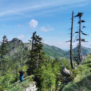 Gratwanderweg Dürrensteigkamm zur Schüttbauernalm