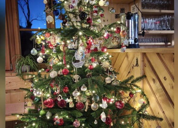 Schön ist er geworden unser Hüttenchristbaum!